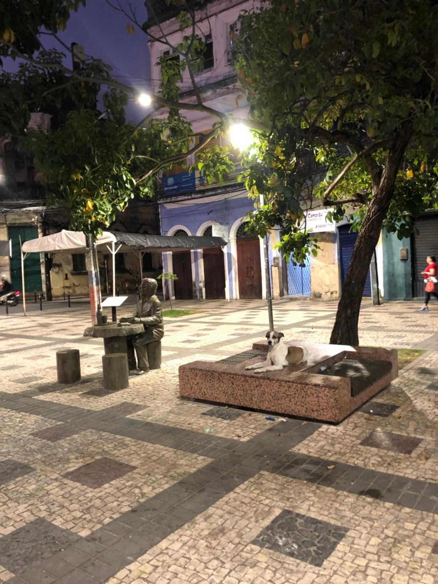 Seu Borba Pousada & Hostel Recife Dış mekan fotoğraf